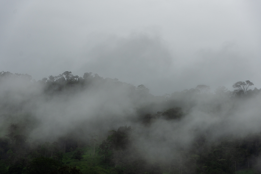 Viajando en Ecuador, la selva amazónica