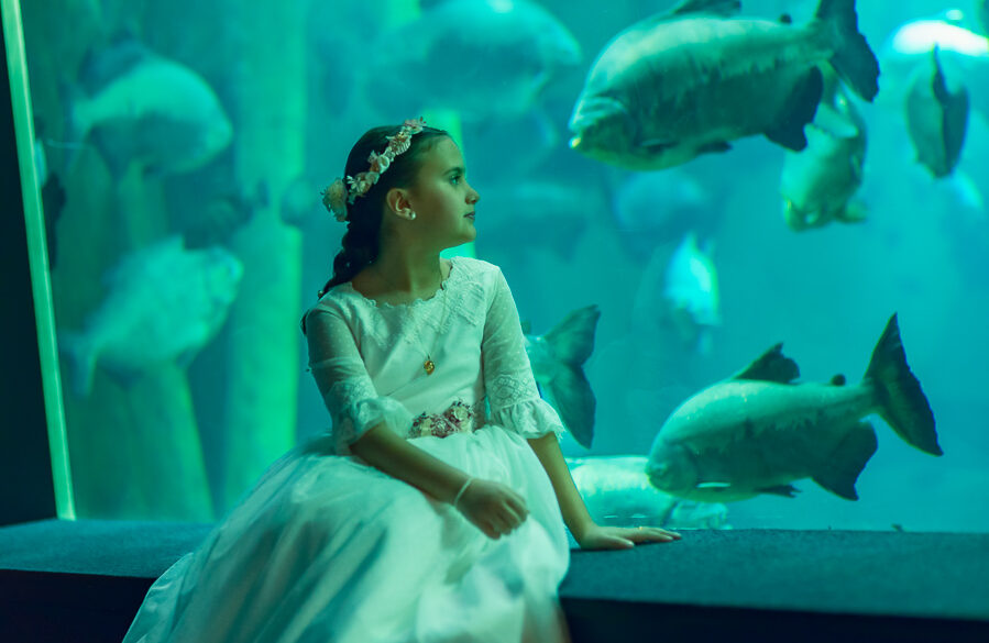 fotografía con peces de colores y luz natural de acuario