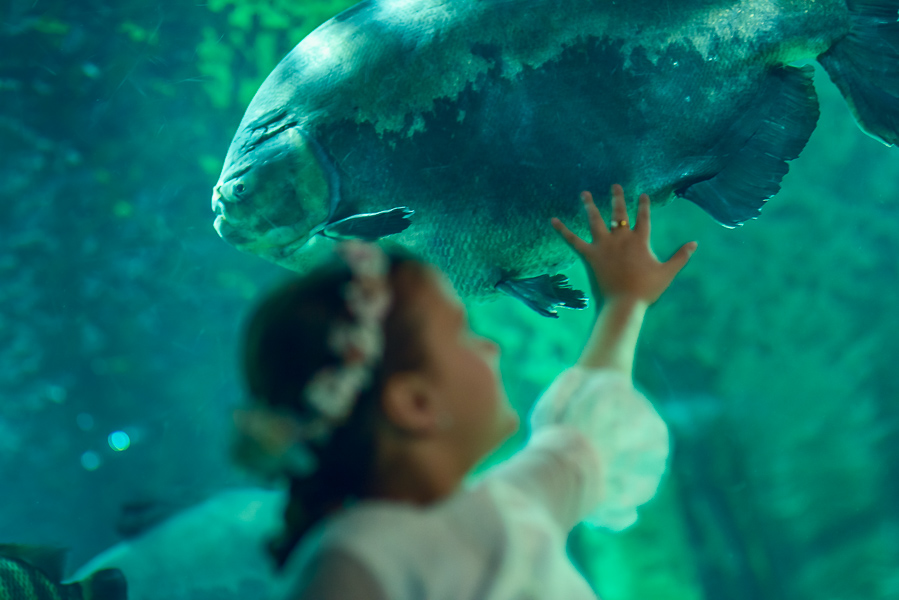 bonito encuadre del reportaje de comunion en el acuario de zaragoza